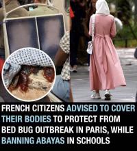 法国臭虫泛滥成灾，多所学校被迫关门，民众担忧巴黎奥运会受虫灾影响