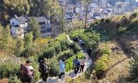 推进地区体育融合发展，长三角森林体育嘉年华收官